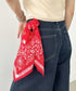THE NORTH FACE(ザ・ノースフェイス)/コットン プリント バンダナ スカーフ/BANDANA_PAISLEY_80'S/PINE CONE | IM6243034 | レッド