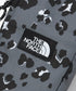 国内未発売 THE NORTH FACE(ザ・ノースフェイス)/ミニバッグ ミニショルダー スマホショルダー 財布 ポーチ サコッシュ/SIMPLE MINI BAG | IL1224032 | チャコールグレー