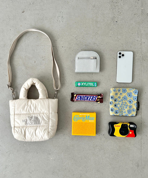 THE NORTH FACE(ザ・ノースフェイス)/2WAY メタリック ミニ ショルダーパデットバッグ/PLUMPY TOTE BAG | IM1233037 | ダークブラウン