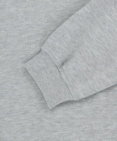 THE NORTH FACE(ザ・ノースフェイス)/ワンポイント刺繍スウェット クルーネック 長袖トレーナー/GO-TO SWEATSHIRTS | IM2243008 | グレー