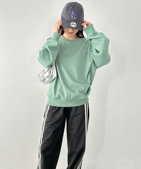 THE NORTH FACE(ザ・ノースフェイス)/ワンポイント刺繍スウェット クルーネック 長袖トレーナー/GO-TO SWEATSHIRTS | IM2243008 | グリーン