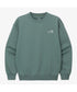THE NORTH FACE(ザ・ノースフェイス)/ワンポイント刺繍スウェット クルーネック 長袖トレーナー/GO-TO SWEATSHIRTS | IM2243008 | グリーン