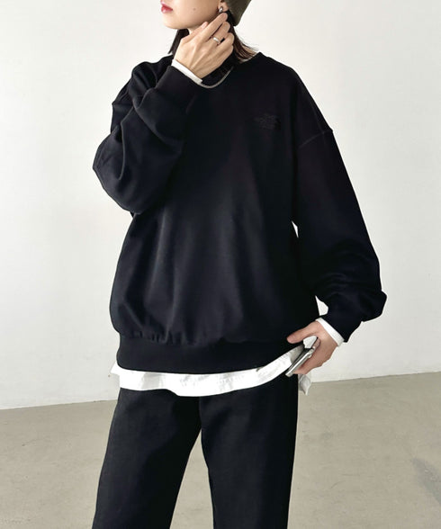 THE NORTH FACE(ザ・ノースフェイス)/ワンポイント刺繍スウェット クルーネック 長袖トレーナー/GO-TO SWEATSHIRTS | IM2243008 | ブラック
