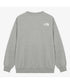 THE NORTH FACE(ザ・ノースフェイス)/ワンポイント ロゴ刺繍 スウェット サイズ展開豊富 大きめサイズあり/M'S CORE SWEATSHIRTS | IM2253018 | グレー