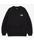 THE NORTH FACE(ザ・ノースフェイス)/バックプリント ロゴ ルーズフィット スウェット/M'S BOSQUE SWEATSHIRTS | IM2253019 | ブラック