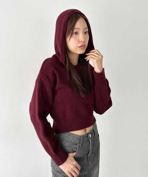 クロップドフーディーニットトップス | BA2256026 | レッド