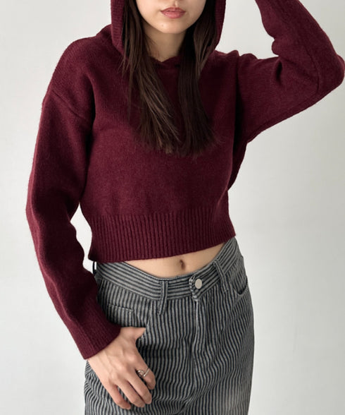 クロップドフーディーニットトップス | BA2256026 | レッド