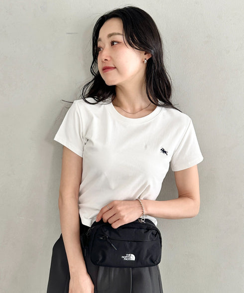 【】THE NORTH FACE(ザ・ノースフェイス)/ボディバッグ ウエストポーチ ヒップサック ロゴプリント/LINDEN HIP SACK | IM1262022 | ブラック