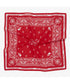 THE NORTH FACE(ザ・ノースフェイス)/コットン プリント バンダナ スカーフ/BANDANA_PAISLEY_80'S/PINE CONE | IM6243034 | レッド