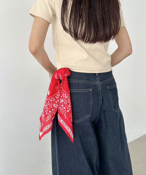 THE NORTH FACE(ザ・ノースフェイス)/コットン プリント バンダナ スカーフ/BANDANA_PAISLEY_80'S/PINE CONE | IM6243034 | レッド