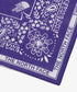 THE NORTH FACE(ザ・ノースフェイス)/コットン プリント バンダナ スカーフ/BANDANA_PAISLEY_80'S/PINE CONE | IM6243034 | パープル