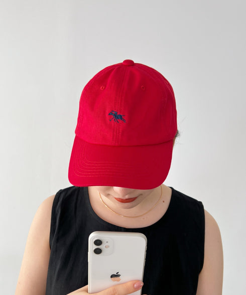【POLO CHAMPS/ポロチャンプス】別注 ワンポイント 刺繍  ユニセックス ローキャップ | CL5231380 | レッド