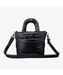 THE NORTH FACE(ザ・ノースフェイス)/2WAY メタリック ミニ ショルダーパデットバッグ/PLUMPY TOTE BAG | IM1233037 | ブラック