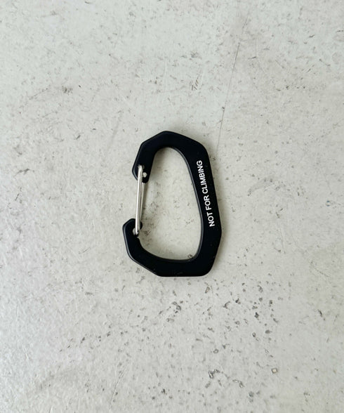 THE NORTH FACE(ザ・ノースフェイス)/ブランドロゴ カラビナ/TNF LOGO CARABINER | IM6243033 | ブラック