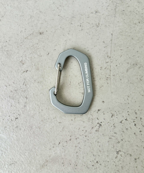 THE NORTH FACE(ザ・ノースフェイス)/ブランドロゴ カラビナ/TNF LOGO CARABINER | IM6243033 | グレー