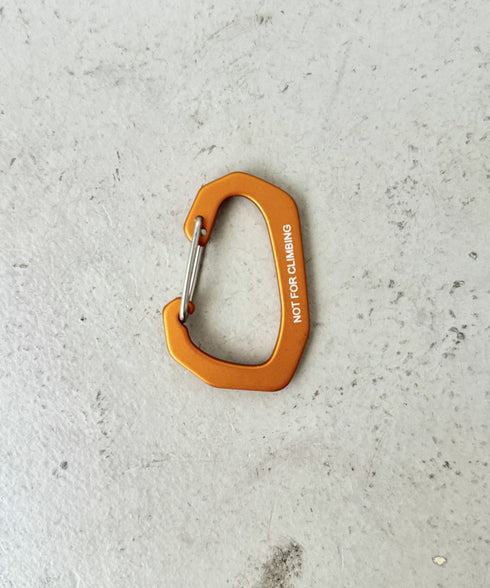 THE NORTH FACE(ザ・ノースフェイス)/ブランドロゴ カラビナ/TNF LOGO CARABINER | IM6243033 | オレンジ