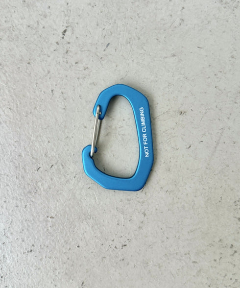 THE NORTH FACE(ザ・ノースフェイス)/ブランドロゴ カラビナ/TNF LOGO CARABINER | IM6243033 | ブルー
