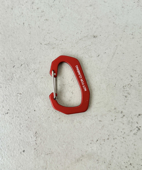 THE NORTH FACE(ザ・ノースフェイス)/ブランドロゴ カラビナ/TNF LOGO CARABINER | IM6243033 | レッド