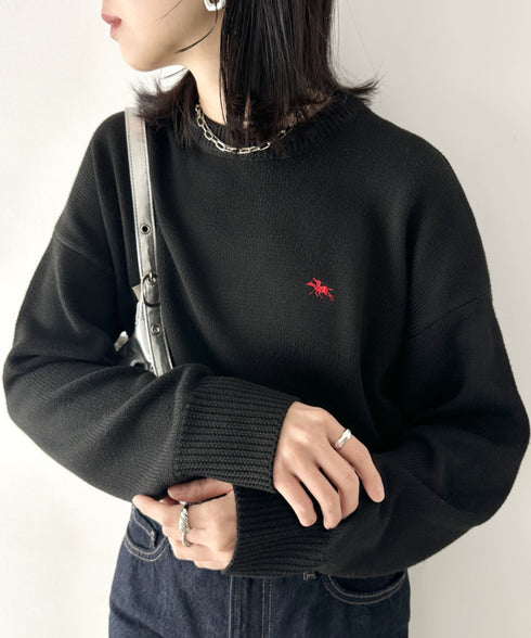 POLO CHAMPS(ポロチャンプス)/ポロチャンプス 別注 ワンポイント刺繍 クルーネック 長袖 オーバーサイズニット セーター | IM2244051 | ブラック