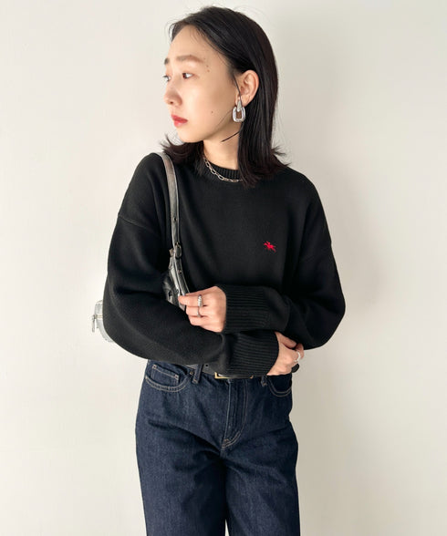 POLO CHAMPS(ポロチャンプス)/ポロチャンプス 別注 ワンポイント刺繍 クルーネック 長袖 オーバーサイズニット セーター | IM2244051 | ブラック