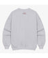 THE NORTH FACE(ザ・ノースフェイス)/ワンポイント ボックスロゴ刺繍 オーバーサイズ スウェット/MINI BOX STITCH SWEATSHIRTS | IM2251045 | オートミール