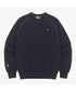 THE NORTH FACE(ザ・ノースフェイス)/ワンポイント ボックスロゴ刺繍 オーバーサイズ スウェット/MINI BOX STITCH SWEATSHIRTS | IM2251045 | ダークネイビー