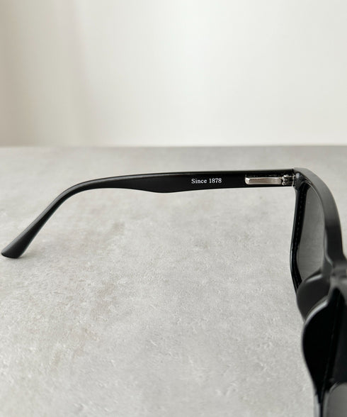 POLO CHAMPS(ポロチャンプス)/サングラス ウェリントン カラーレンズ UVカット 紫外線対策 ユニセックス | IM6252055 | ブラック