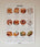 BRUNCH Canvas Calendar | SL6222601 | その他1